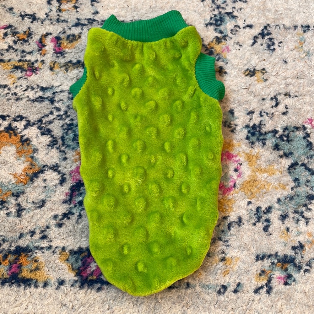XSmall adorable green pet sweater